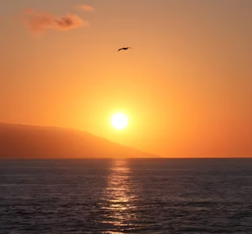 photo paysage avis samir