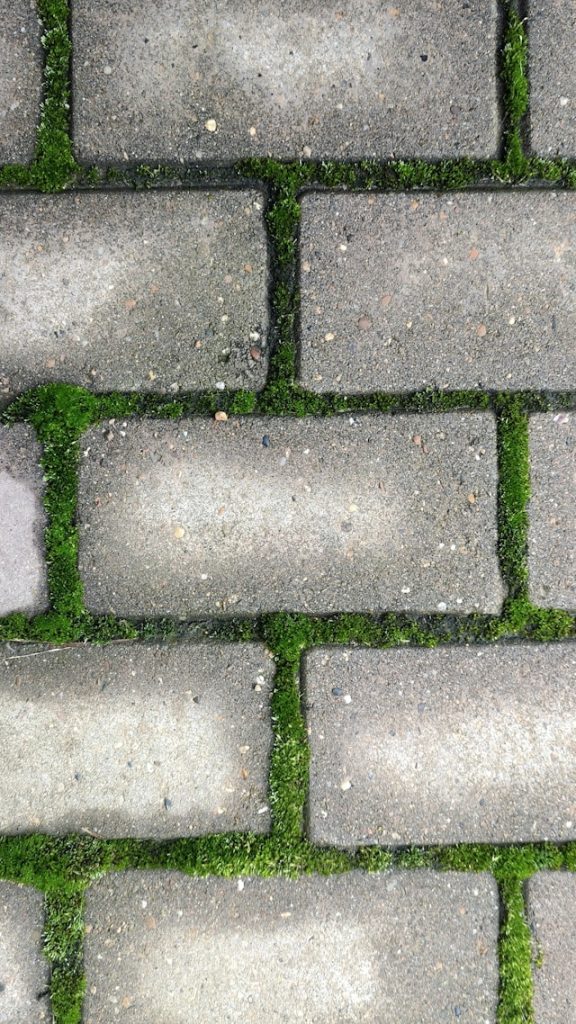 pose de pavées dans une allée